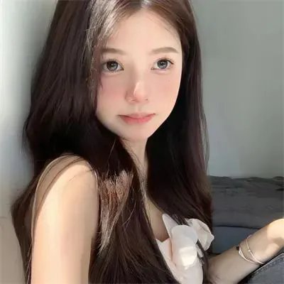 追星星的人第三季