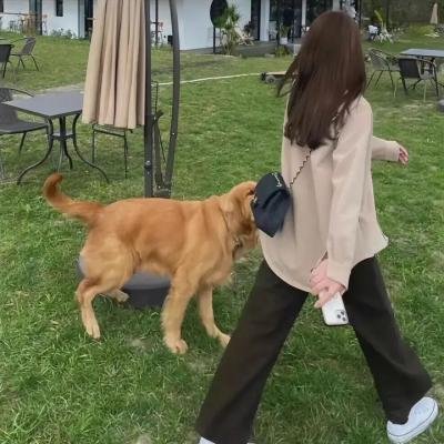 抛妻奇谈2